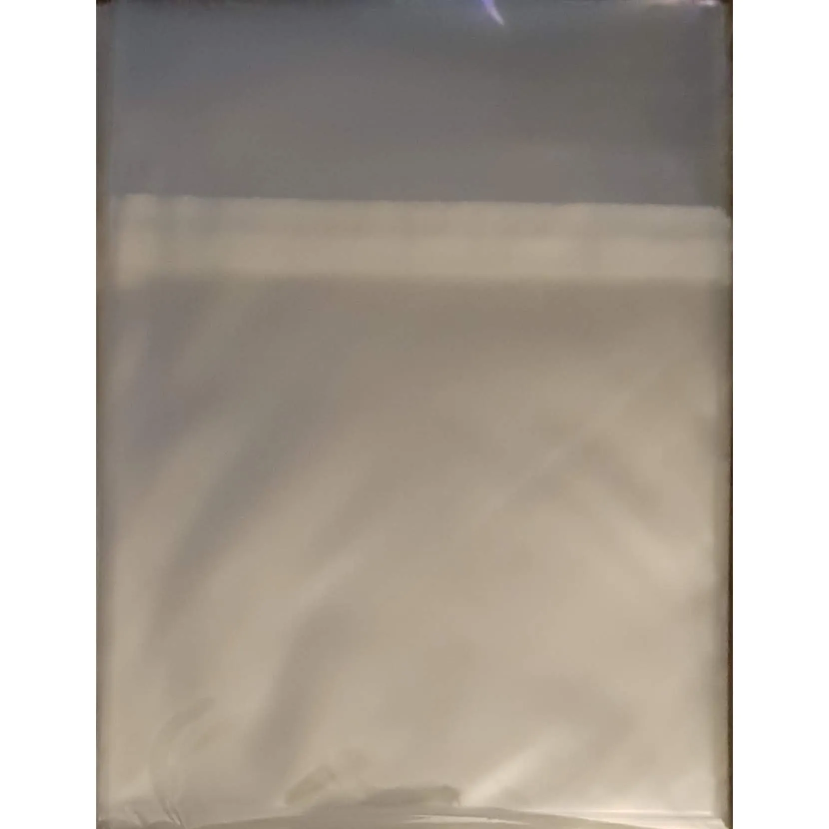 100 CD Maxi-Single Resealable Japanese Horizontal Sleeves