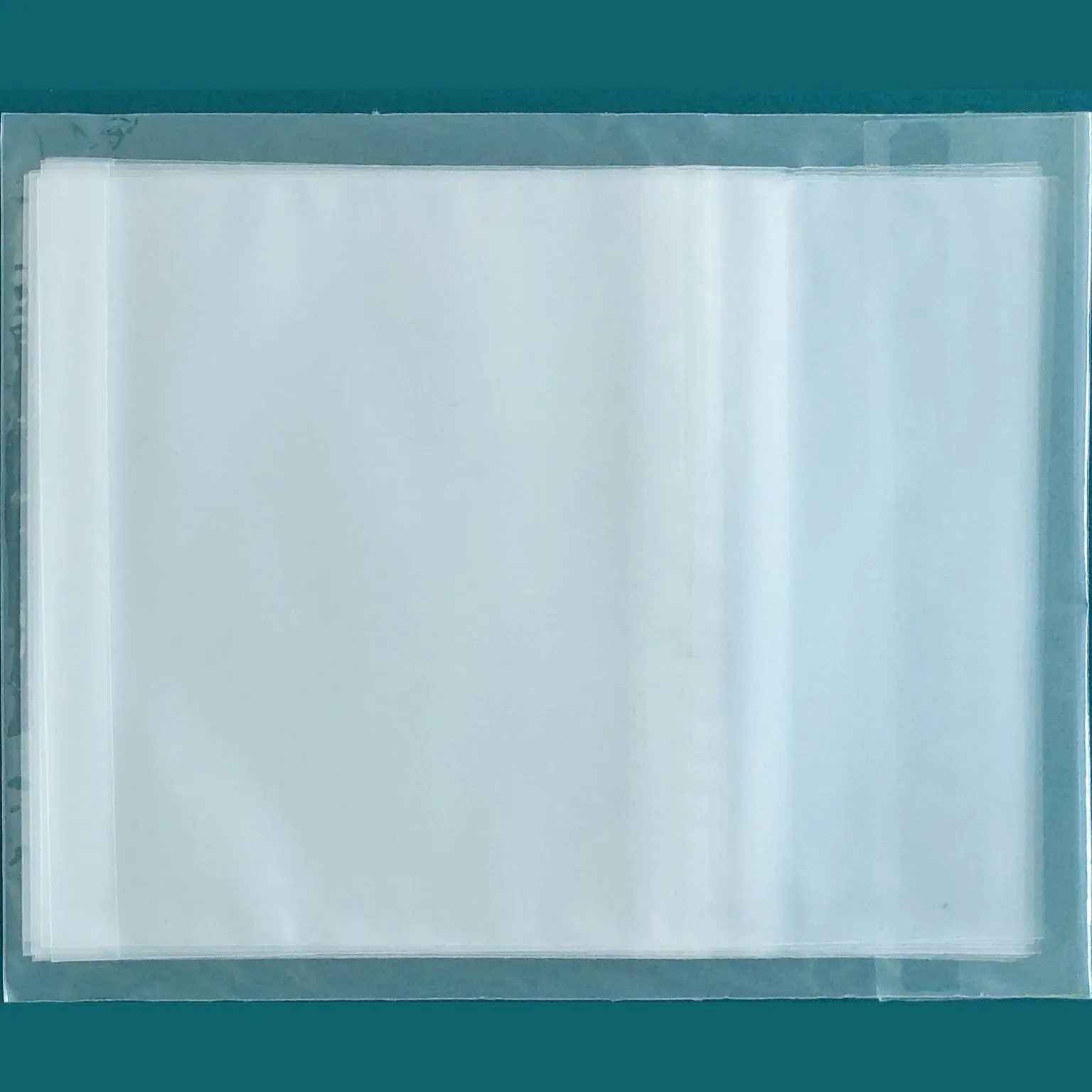 20 Double CD Horizontal Resealable Sleeves with Gusset