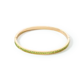 Bangle stainless steel & crystals slim gold green 17